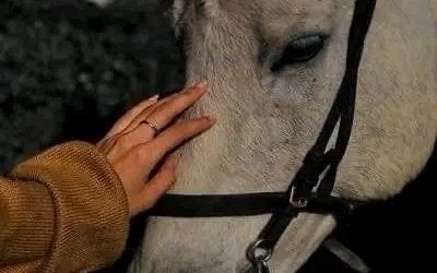 عندما يولد الأمل مع فجر جديد