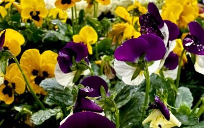 مسموح لك ألا تكون بخير